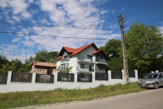 Pensiunea Albero Curtea de Argeş Екстериор снимка